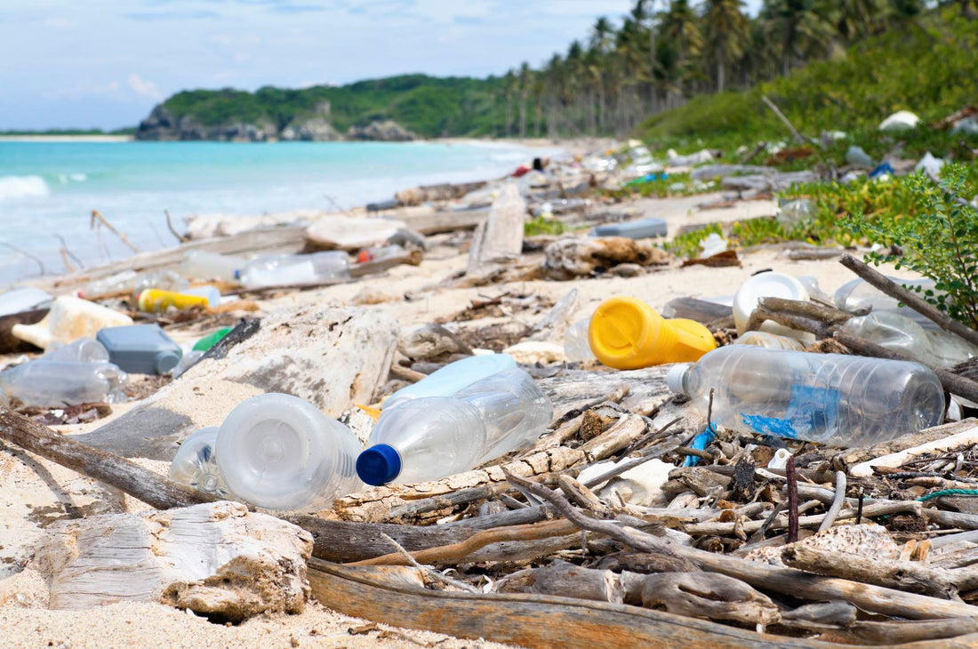 HK Water Challenge: Ditch Disposable!