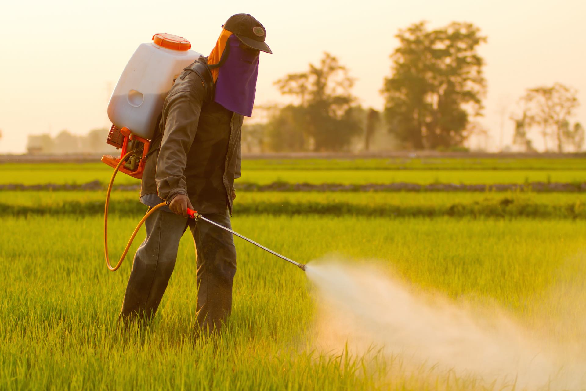 Pesticides and Herbicides in Hong Kong Water – Waterlinks