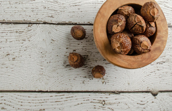 Why We Love Soapnut Berries