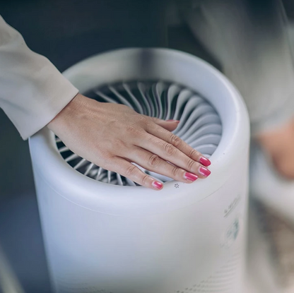 LIFA air LA503V Air Purifier
