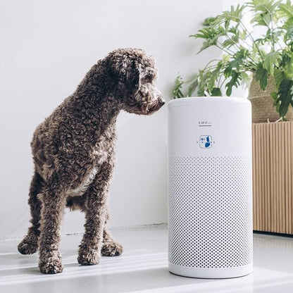 LIFA air LA313-Series Air Purifier